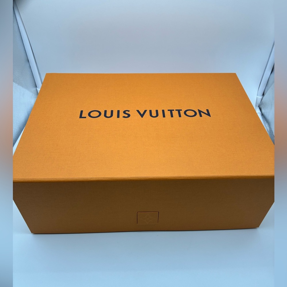 New Louis Vuitton large box